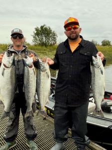 Four Coho Salmon caught fishing in Port Orford