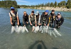 Seven people fishing in OR