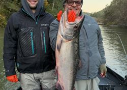 Large Chinook salmon catch displayed on fishing boat in Port Orford OR