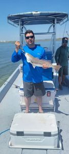 Guided fishing excellence in Port Aransas