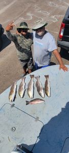 Texas redfish paradise.