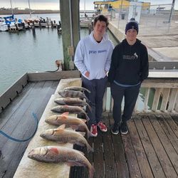 Thrilling Bounty of Port Aransas Fishing Charters