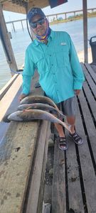 Angler with one fish in Rockport