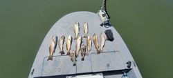 Two fish caught in Rockport while fishing