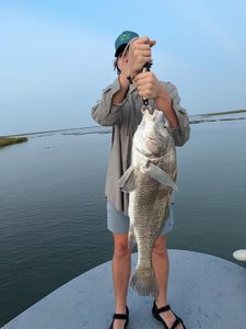 Black Drum fish caught in TX