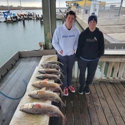 Two redfish, 24 inches long, caught in Rockport