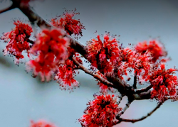 A breathtaking view of the New York skyline during a fishing trip.