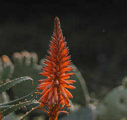Scenic view of a water sports activity in an unknown location