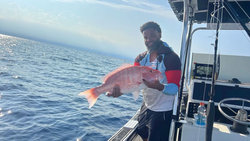 One person fishing in Florida