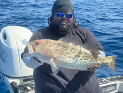 Gag grouper, a big fish caught by an angler in Port Canaveral