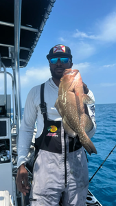 Red Grouper fish caught in FL