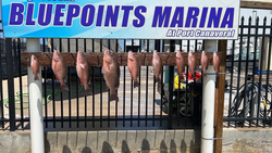 4 fishing rods with FL location