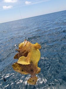One fishing adventure in NC