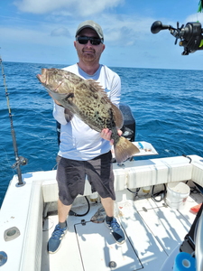 Gag grouper fish caught by angler at Oak Island