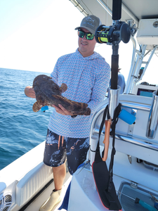 Oyster Toadfish measuring 13 inches caught while fishing in NC