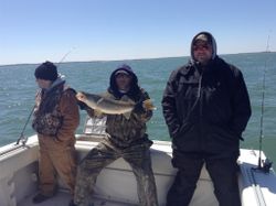 Three anglers fishing in Port Clinton