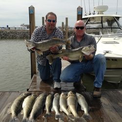 8 big fish caught by 2 people in Port Clinton