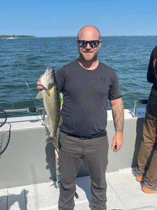 Walleye catch displayed on fishing boat in Port Clinton OH