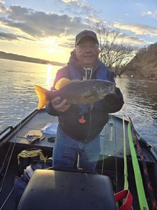 Nice Smallmouth Bass, Top Fishing in Pa.