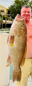 Guided Fishing: Vero's Best