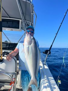 Hook Your Dream Catch: Florida Fishing
