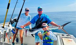 Sailfish: Ocean's Graceful Spectacle