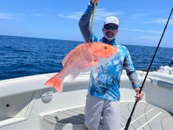 Red Snapper Delight