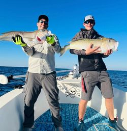 Tilefish Delight in Vero Beach