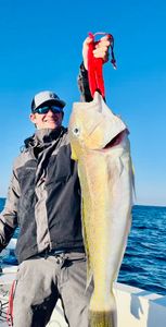 Sebastian FL Fishing Charters: Expertise