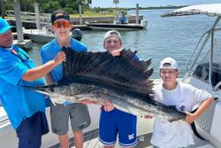 Encounter Sailfish: Premier Angling