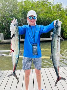 Kingfish in Vero Beach