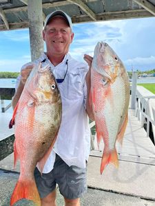 Mutton Snapper in Vero Beach