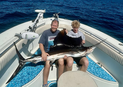 Atlantic Sailfish caught in FL fishing