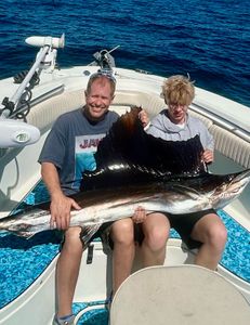 A single Atlantic Sailfish caught during fishing in Vero Beach