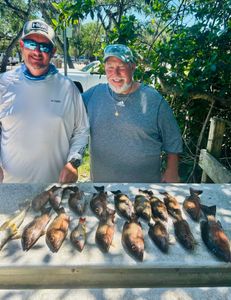 Half day was awesome.  Lots of dinners caught. Snapper bite is on fire.