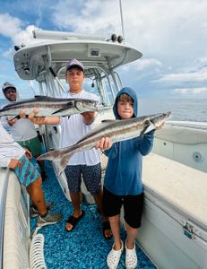 Cobia fishing in Vero Beach