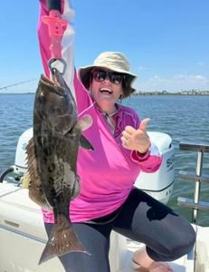 Grouper caught and released to grow a bit.  