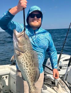 Gag grouper fish caught while fishing in FL