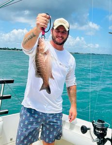 Photograph of a 16-inch Grey Snapper caught while fishing in Vero Beach