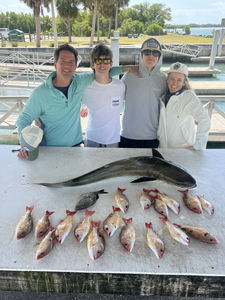 3 big fish caught while fishing in FL