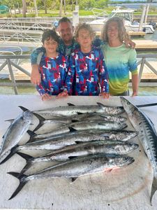 4 king mackerel fish caught while fishing in FL