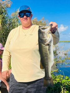 A largemouth bass caught while fishing in Vero Beach