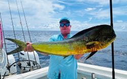 Angler holding mahi mahi or common dolphinfish in FL