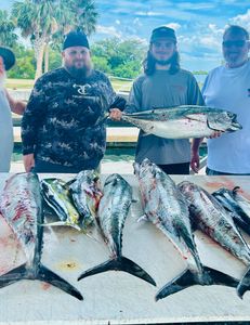 5 mahi mahi fish caught in vero beach