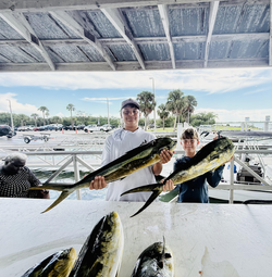 Nice Mahi Mahi action today using deep sea trolling techniques!