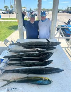 3 North African catfish caught while fishing in FL