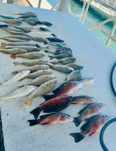 Scenic fishing landscape in FL