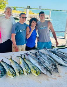 3 fish caught in FL during fishing trip
