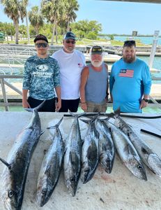 Five King Mackerel caught in Vero Beach