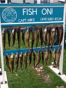 Seven fish caught in OH during fishing trip